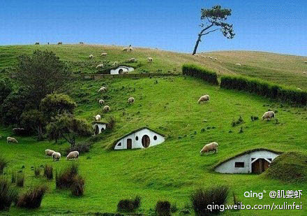 新西兰乡村小屋