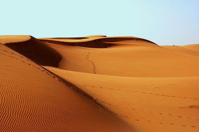 desert-footprints-ho...