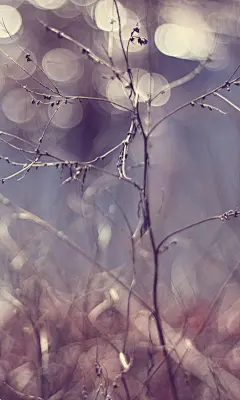 旅途美景480*800安卓高清手机壁纸图片 | 风景 - 芒果唯美图片(mangowed.com)