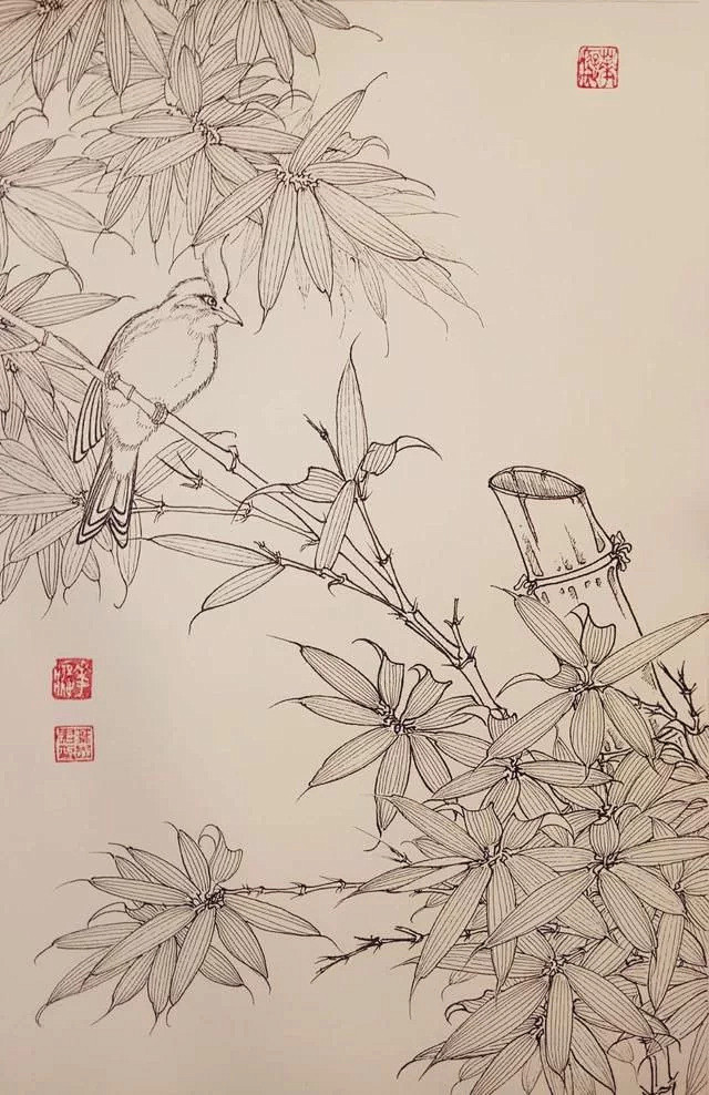 钢笔花卉白描达人叶志军先生的钢笔画分享