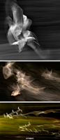 大部分的鸟类摄影爱好者为了拍到飞鸟在飞行状态当中的一瞬间，大多采用高速快门。不过，摄影师Anne McGrath发现，在暗背景下使用慢速快门拍摄飞鸟时，可以得到一种非常写意的画面。拍摄要点：在冬天或夏天光线黯淡的湖面上拍摄，相机设为快门优先，快门速度1/4秒。http://t.cn/zjKOxU7