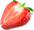 水果 草莓  素材  png