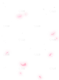 植物系列插画风发光的飘浮花瓣元素