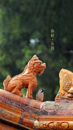 weiwei~炜采集到摄影-紫禁雅集