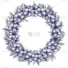 框架与蓝色手绘薄叶万寿菊花。