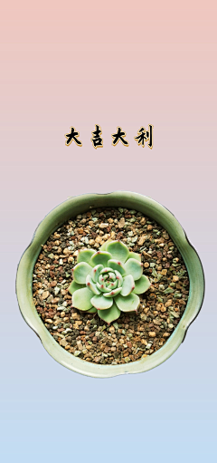 鸡蟹师采集到succulent plants