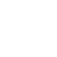 和平鸽灵感图 1