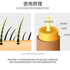 薇吟飞絮采集到护发