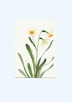 JOYCE宸曦采集到植物绘本