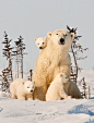 Polar triplets