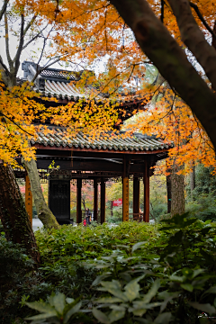 极简design采集到风景/壁纸/合成背景