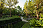 Life@Ladprao 18 Condominium Garden by Shma Design 泰国曼谷屋顶花园