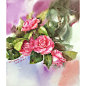 山茶花 #水彩# #花卉# #插画#