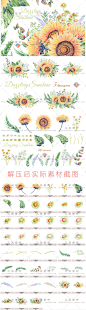 PNG免扣 唯美森系手绘水彩向日葵花朵婚礼请柬卡片 设计素材 DAZZ-淘宝网