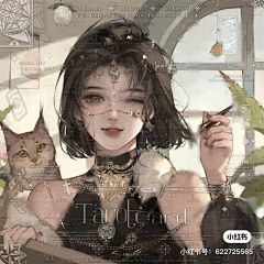 此昼采集到风格-平涂