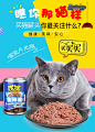 菲菲宝猫罐头 拌饭猫湿粮零食金枪鱼猫罐头幼猫成猫 375gX6罐包邮-tmall.com天猫