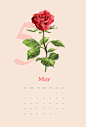 热情五月 浪漫玫瑰 植物手绘 2019插画日历设计PSD tid315t000055