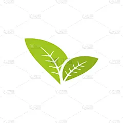 模板,绘画插图,叶子,矢量,分离着色,图表设计师,清新,自然界的状态,有机农庄,环境