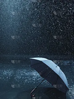 伞,迷路,暴雨,自然,垂直画幅,空白的,留白,暴风雨,无人,湿
