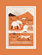 Greetings from South Africa - Postcards Series : We created this set of South African wildlife postcards, featuring illustrated landscapes of some amazing creatures found within the most beautiful country in the world. Letter-pressed by our friends in Cal