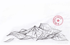 igNAaVz8采集到待归类采集
