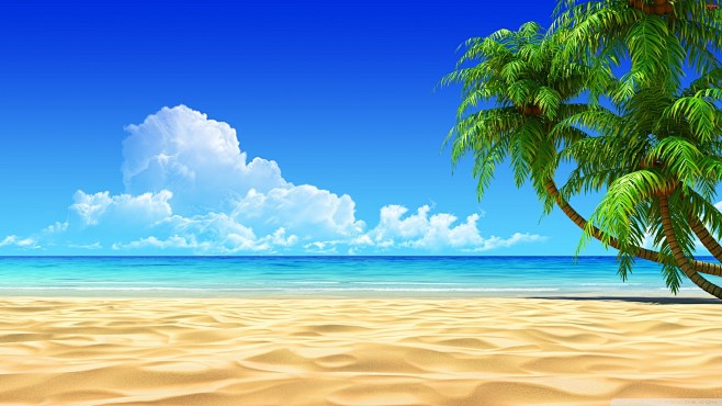 沙滩；椰树；白云；大海；平静