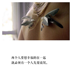 陈花喜采集到❀情话。