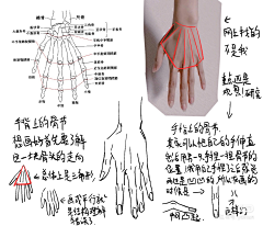 小铜锅粥粥采集到教程