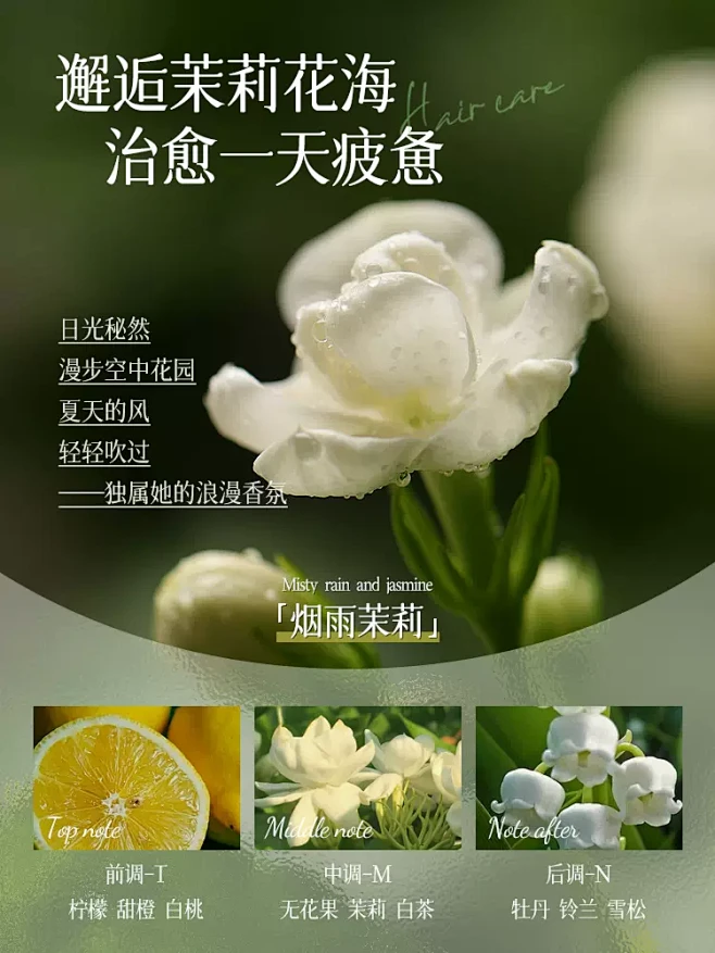 氨基酸洗发水控油蓬松去屑止痒无硅油洗头膏...