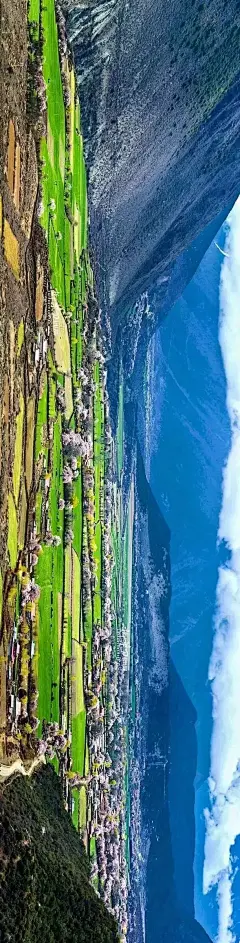 再过一个月，全世界最美桃花即将绽放！ - 天山户外--5A假期--5A景区 - 深圳天山户外活动网是深圳最专业的户外活动交流平台,官方QQ群号:134162927,多名专业领队长期组织深圳及周边地区的户外旅游活动,深圳驴友登山,西冲露营,东西冲穿越,桔钓沙,七星湾,红排角,黑排角,爬山,七娘山,白云嶂,溯溪,水底河,桂林阳朔,英西峰林,厦门鼓浪屿,徒步穿越,自驾游,承接公司或单位包团户外旅游,公司拓展,公司团建