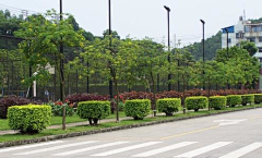 K_Jun_采集到场景 市政道路绿化