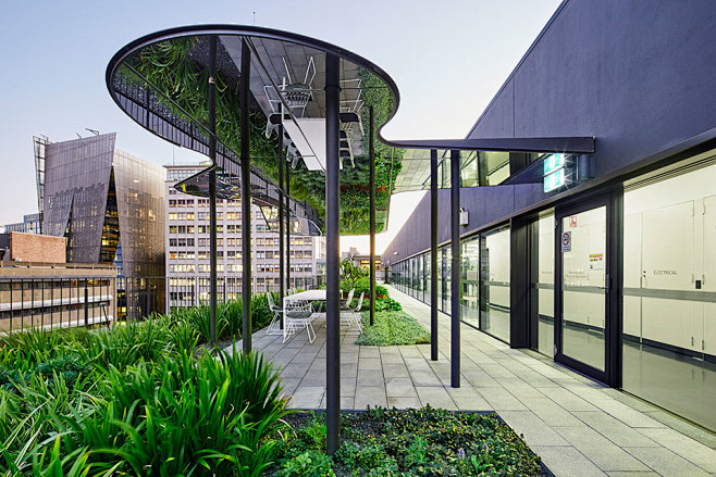 UTS Alumni Green / A...