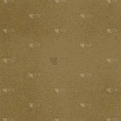矢量画布浅棕色