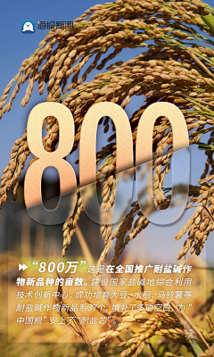 七只小猪偷水喝采集到企业排版