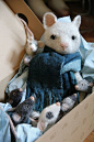 mice and sitter by swig - filz felt feutre, via Flickr