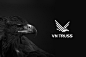 VN TRUSS (EAGLE) LOGO