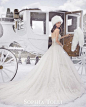 Sophia Tolli 2015 AW Bridal Collection——冰雪中的嫁衣