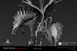 Middle Jungle flaffy tree, Rimma Shmeleva : Plants Concept for Population Zero project. Also I did a prototypes and Highpoly model for this plants.