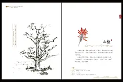 运河岸上的院子（碧树） (25)