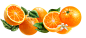 橙子-1