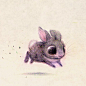 【插画设计】一组萌萌的小动物插画作品
