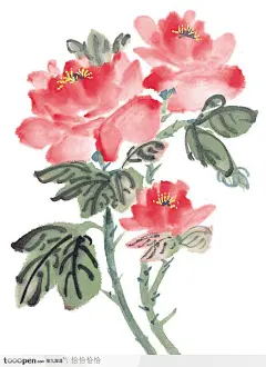 中国国画-一株牡丹花