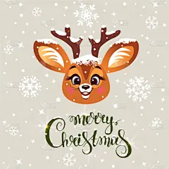 可爱的,冬天,鹿,摆拍,野生动物,肖像,雪,壁纸,自然美,驯鹿