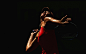 People 2560x1600 Maria Sharapova tennis athletes sport 
