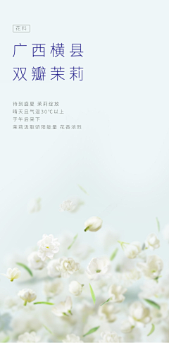 菠萝菠萝我是鸡腿采集到版式排版