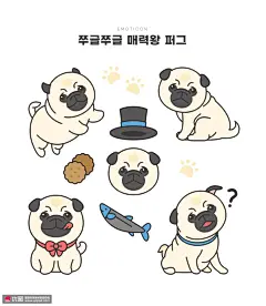 八哥小狗幼犬动物表情手绘萌宠插画 萌宠动物 家庭宠物