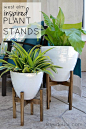 west elm inspired plant stands: 