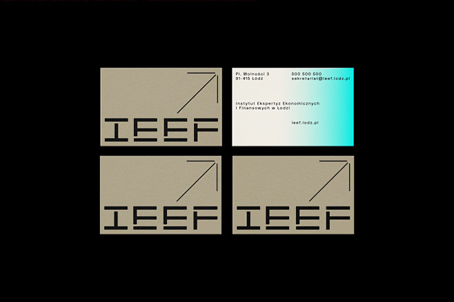 IEEF / Institute of ...