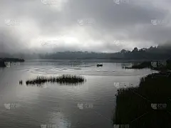 有雾的早晨