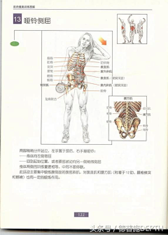 笑遥龙采集到健康